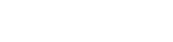 Bikehanic